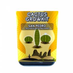 Buy San Pedro Grow Kit Melbourne